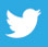 Twiter Logo